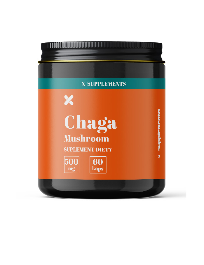 Chaga mushroom
